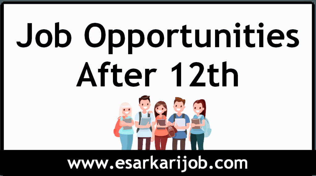 Job Opportunities After 12th